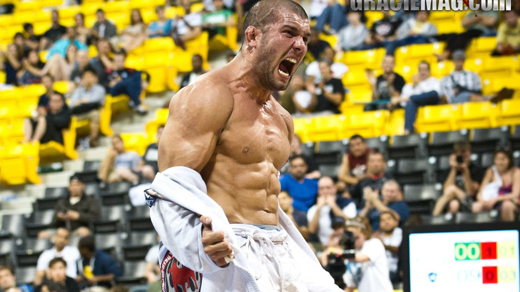 Rodolfo Vieira Open Guard Pass Technique