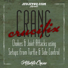 Jiu Jitsu Instructional Course ALBERTO CRANE “CRANE CRUCIFIX”