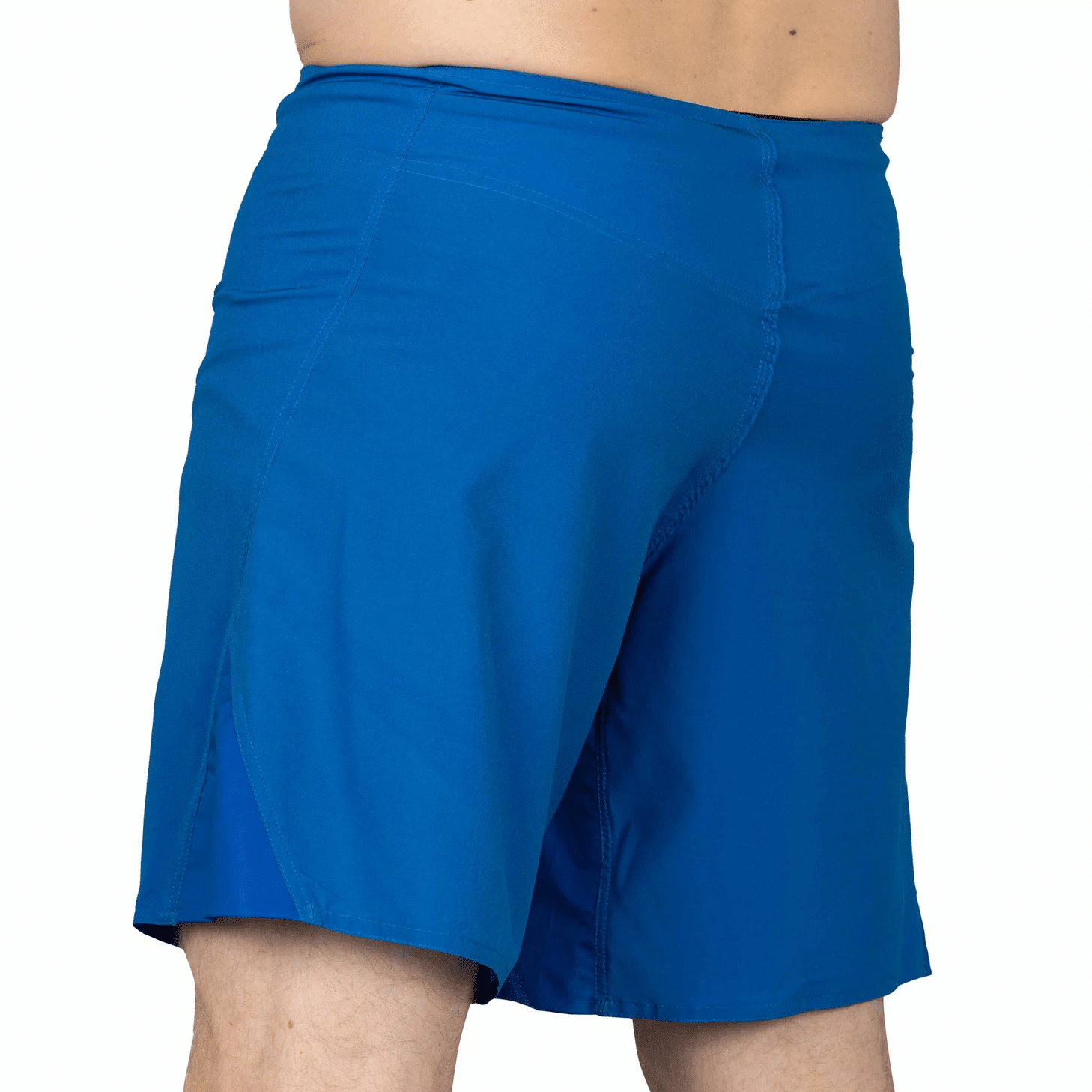 Fuji Baseline Fight Shorts