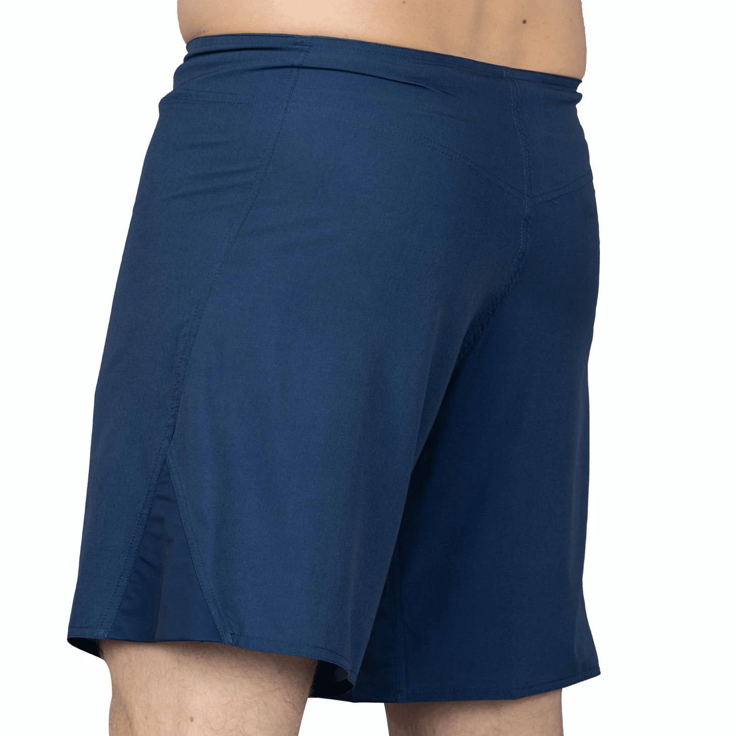 Fuji Baseline Fight Shorts