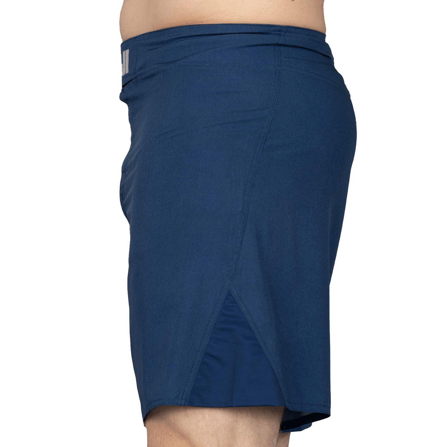 Fuji Baseline Fight Shorts