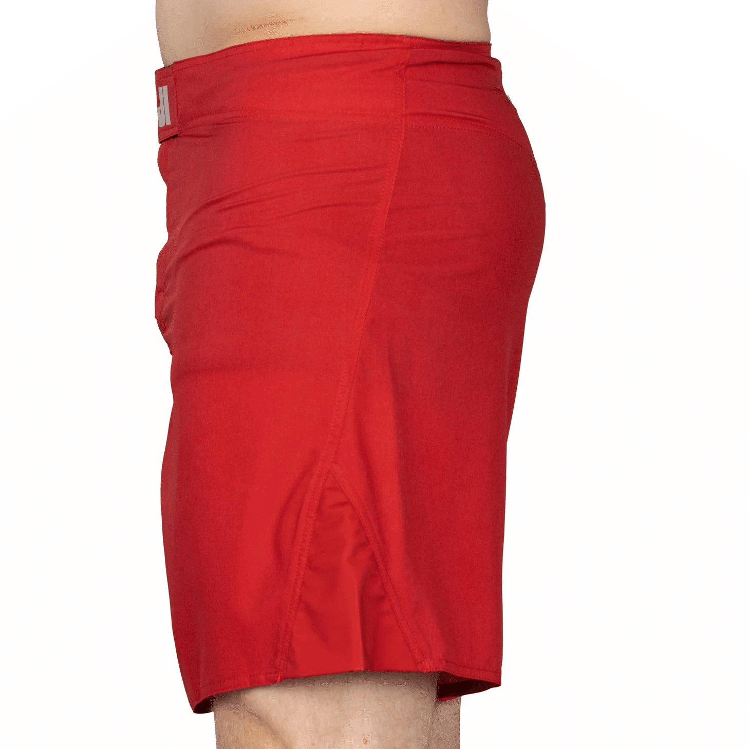 Fuji Baseline Fight Shorts