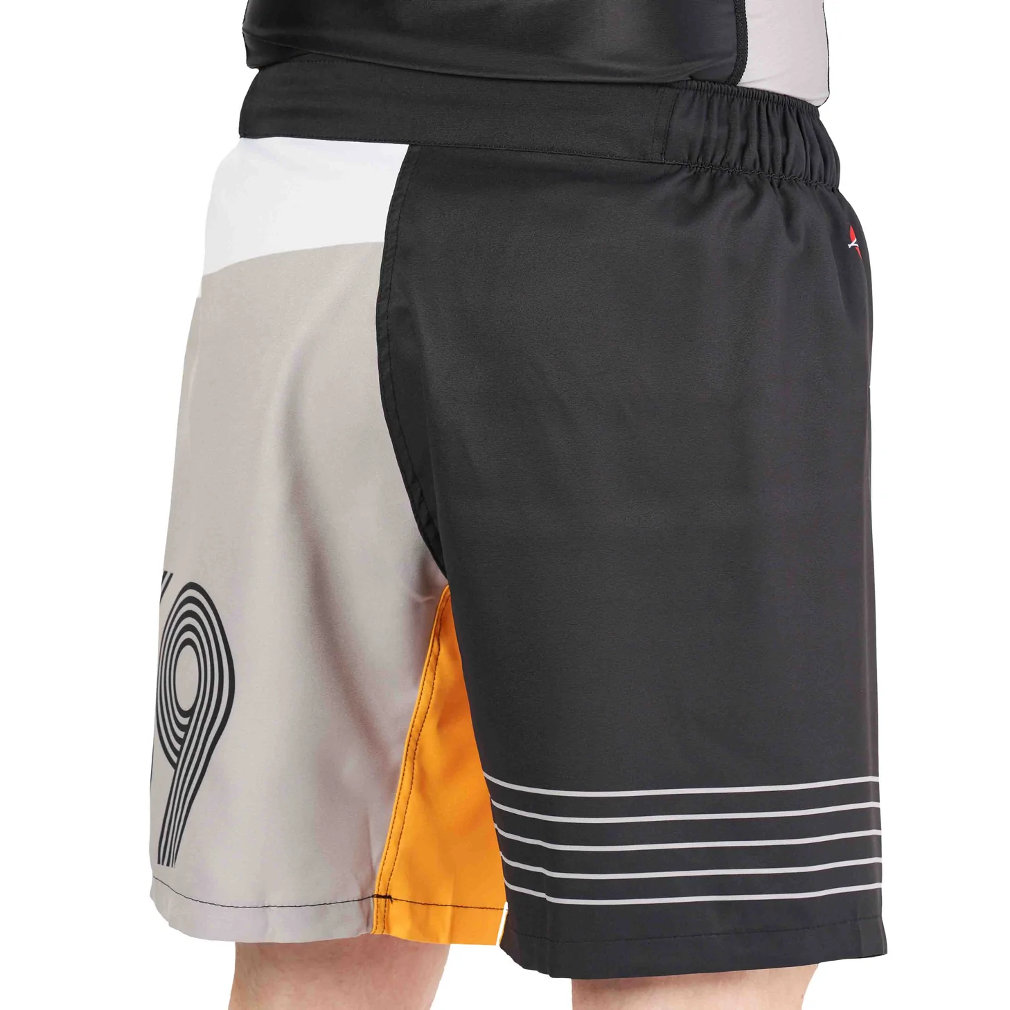 Fuji Linear Lockdown Lightweight Shorts