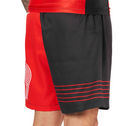 Fuji Linear Lockdown Lightweight Shorts