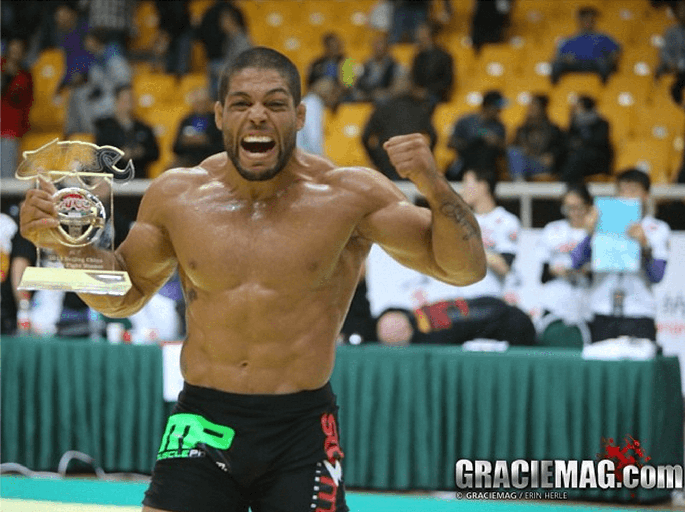 ADCC 2013 Highlight