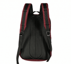 Fuji Lifestyle Backpack   