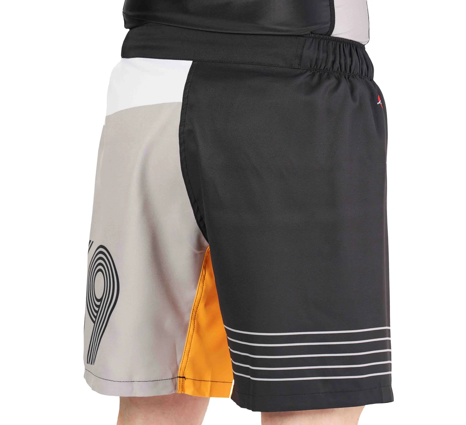 Fuji Linear Lockdown Lightweight Shorts   